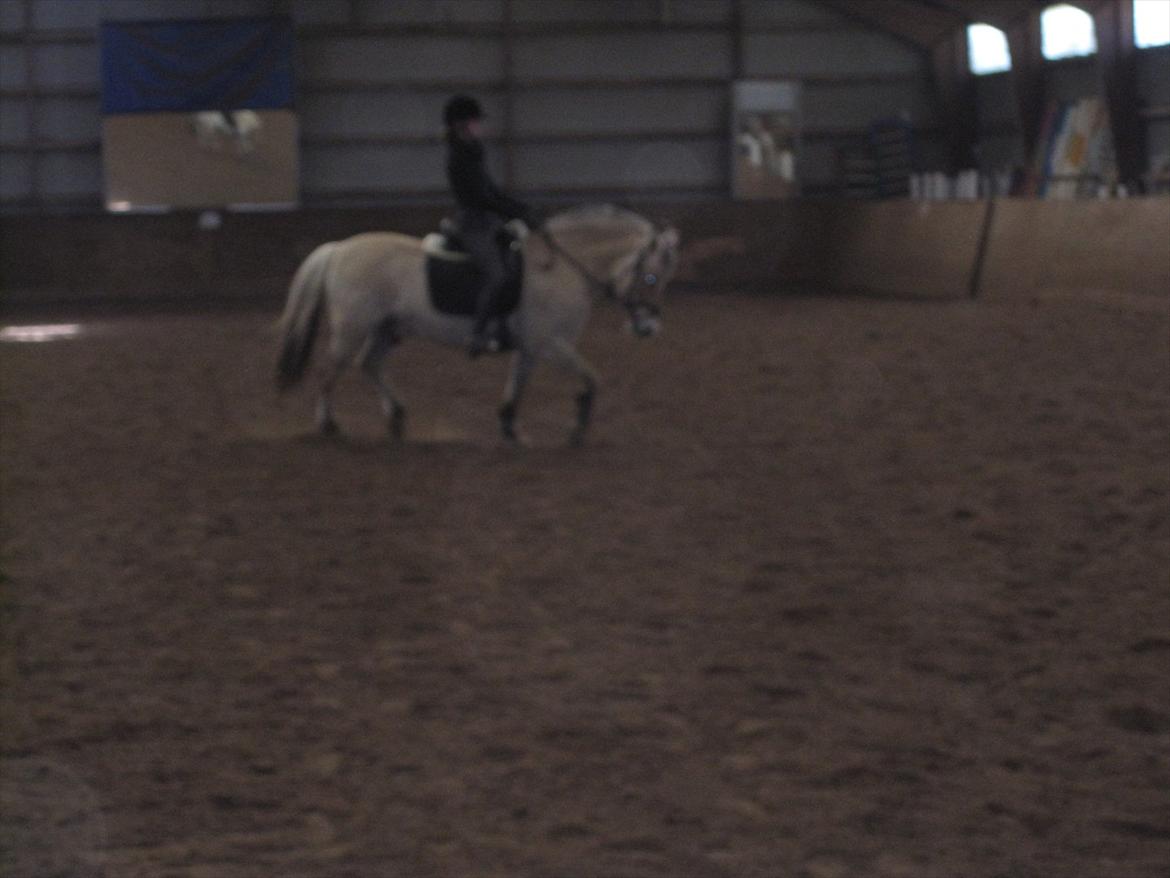 Arkibald og Noa Højland billede 24