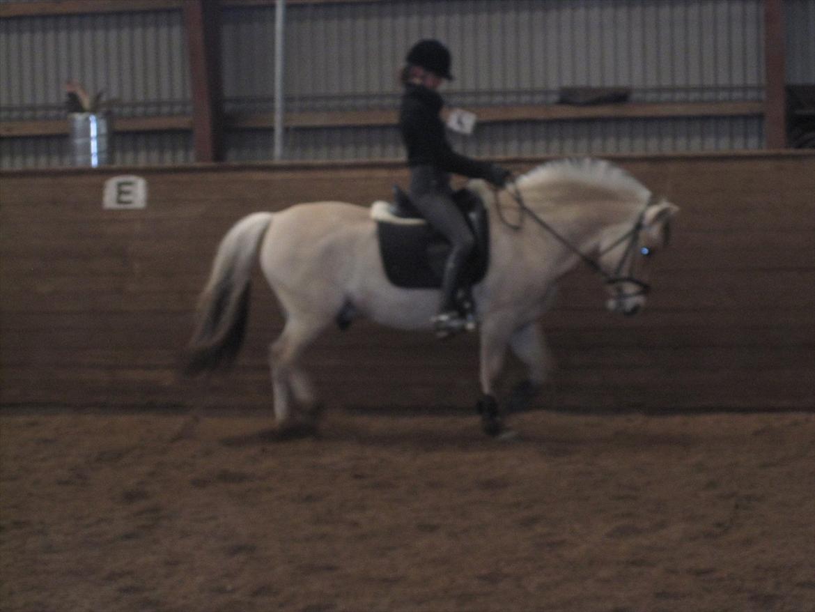 Arkibald og Noa Højland billede 25