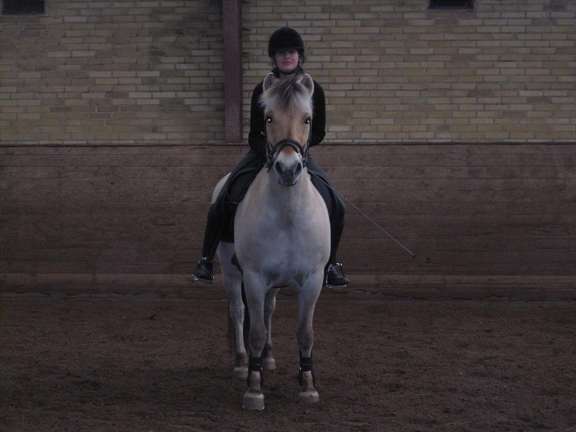 Arkibald og Noa Højland billede 27