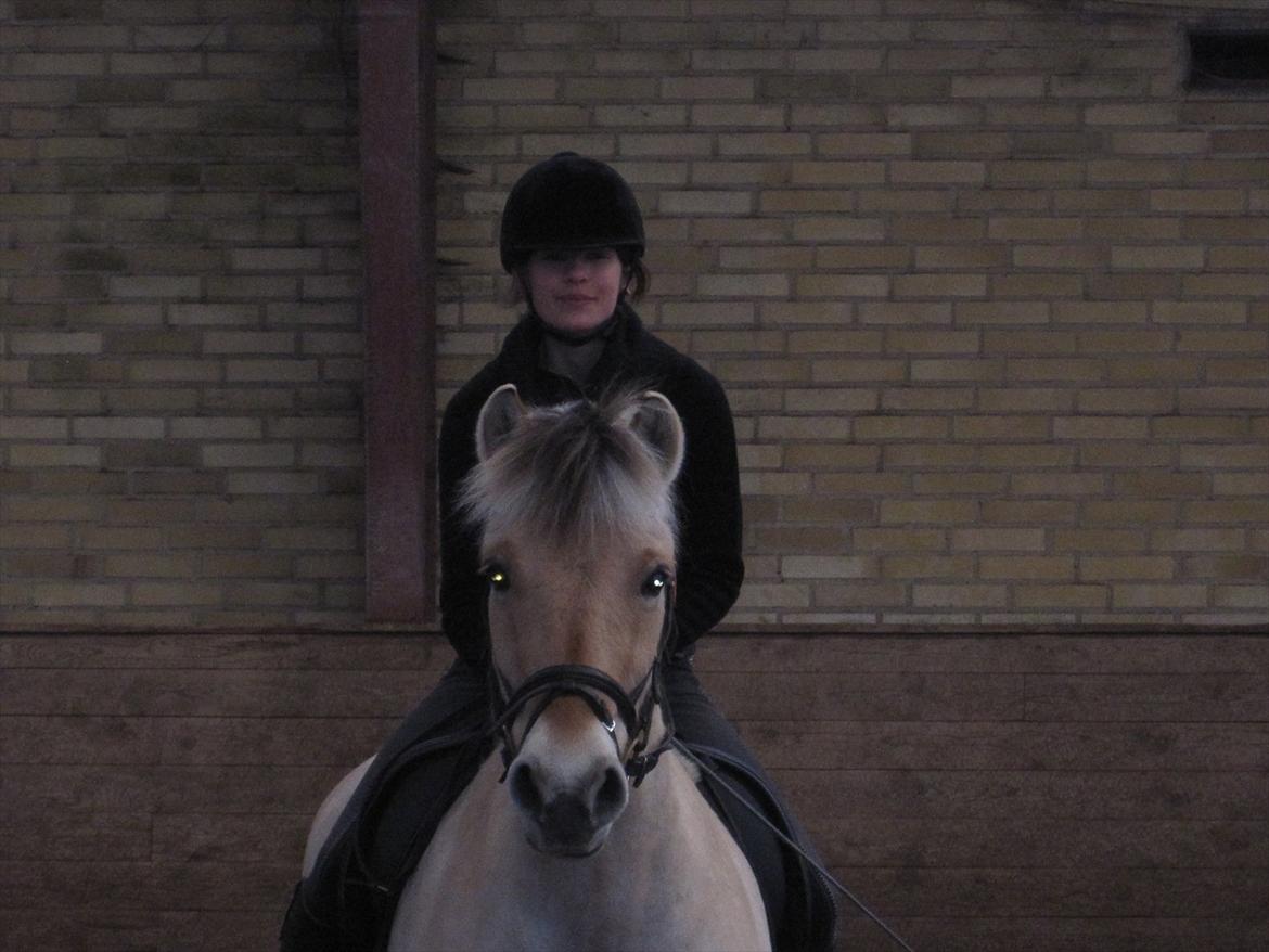 Arkibald og Noa Højland billede 28