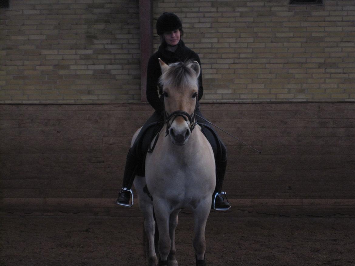 Arkibald og Noa Højland billede 29