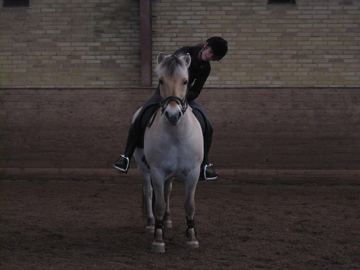 Arkibald og Noa Højland billede 30