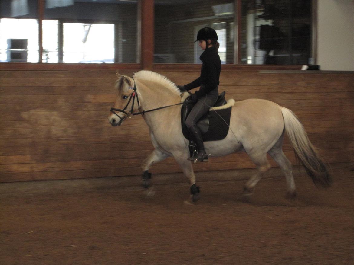 Arkibald og Noa Højland billede 31