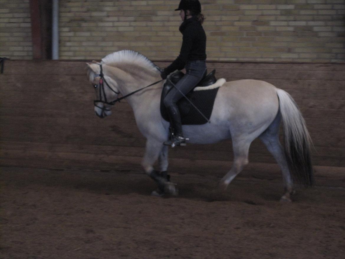 Arkibald og Noa Højland billede 32