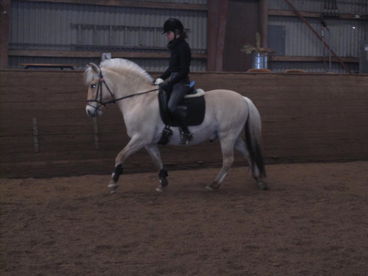 Arkibald og Noa Højland billede 34