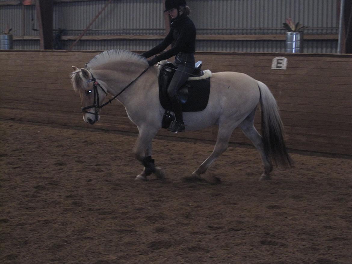 Arkibald og Noa Højland billede 35