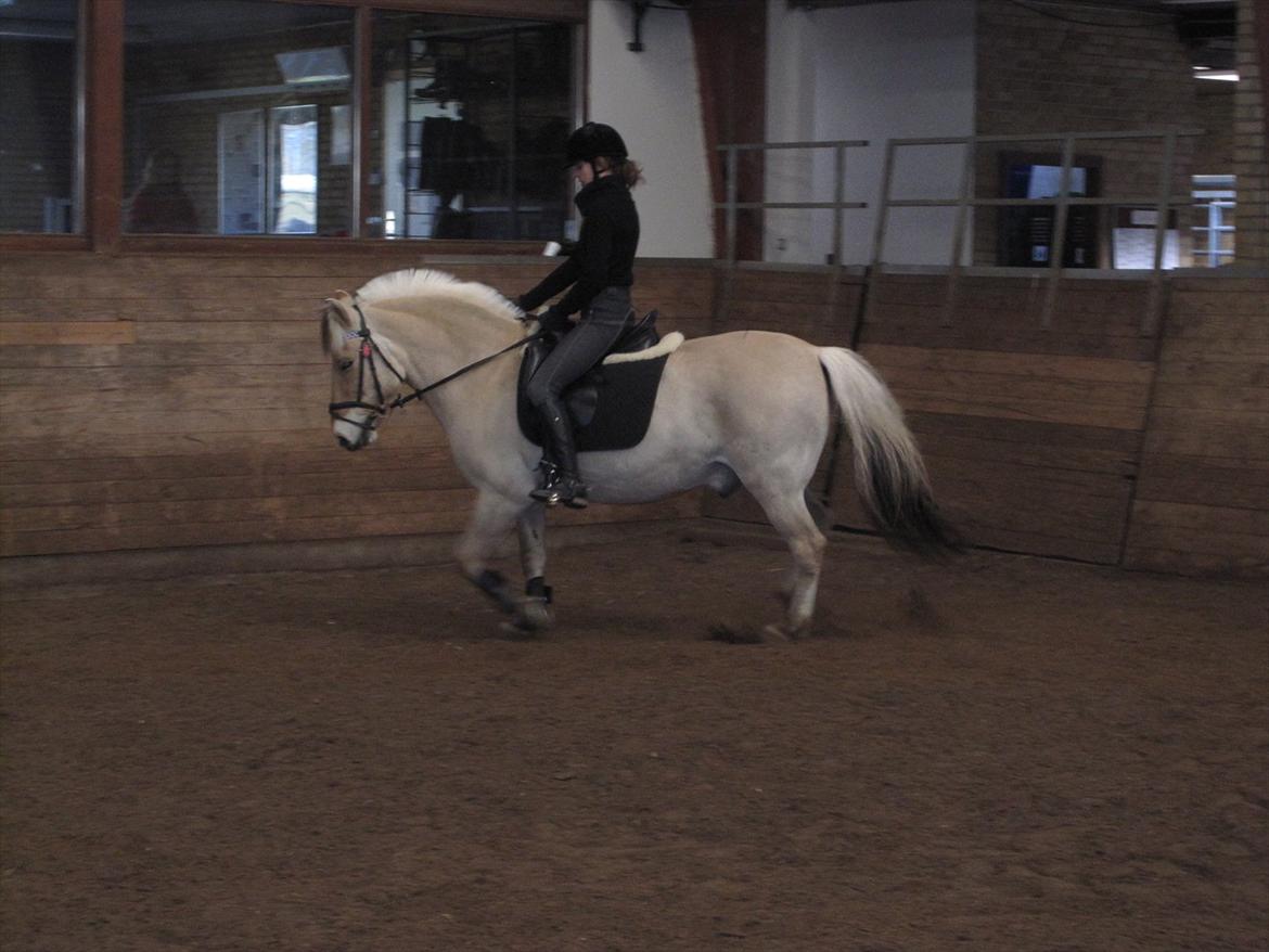 Arkibald og Noa Højland billede 36