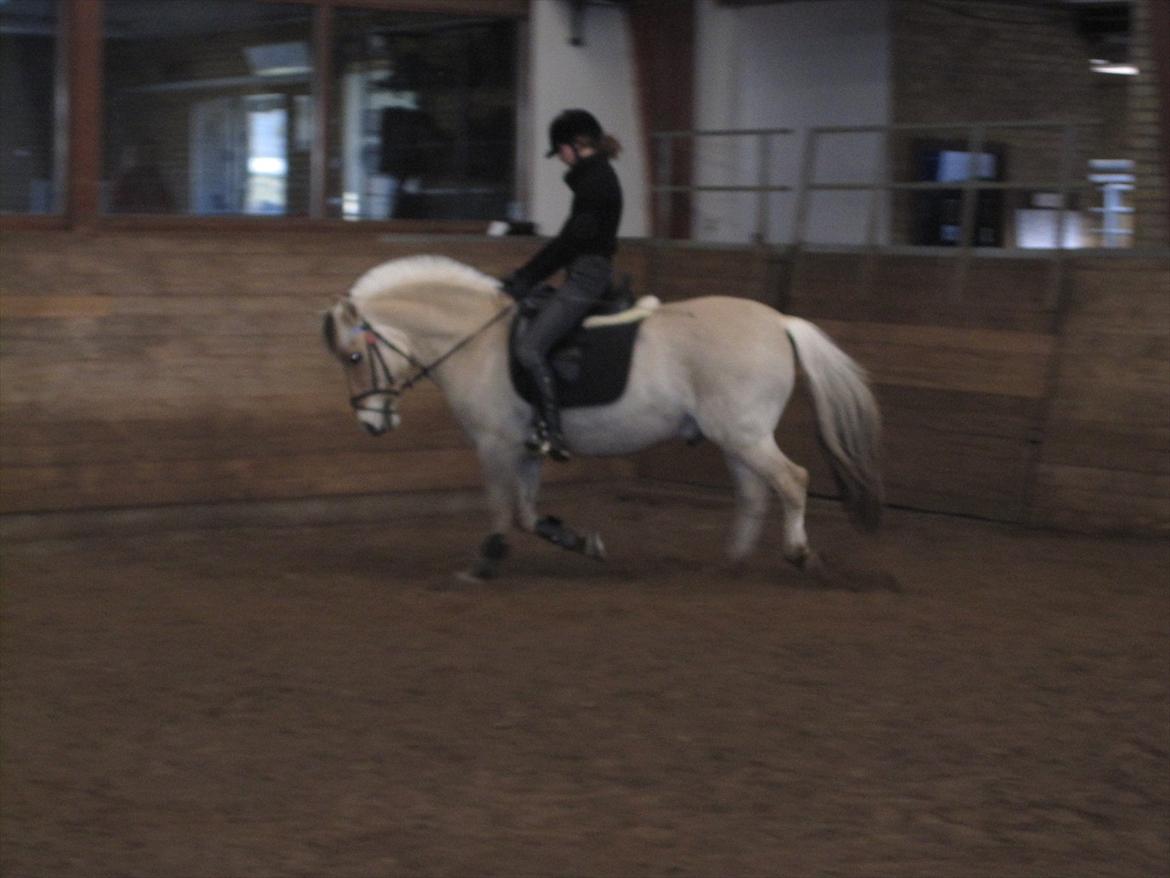 Arkibald og Noa Højland billede 37