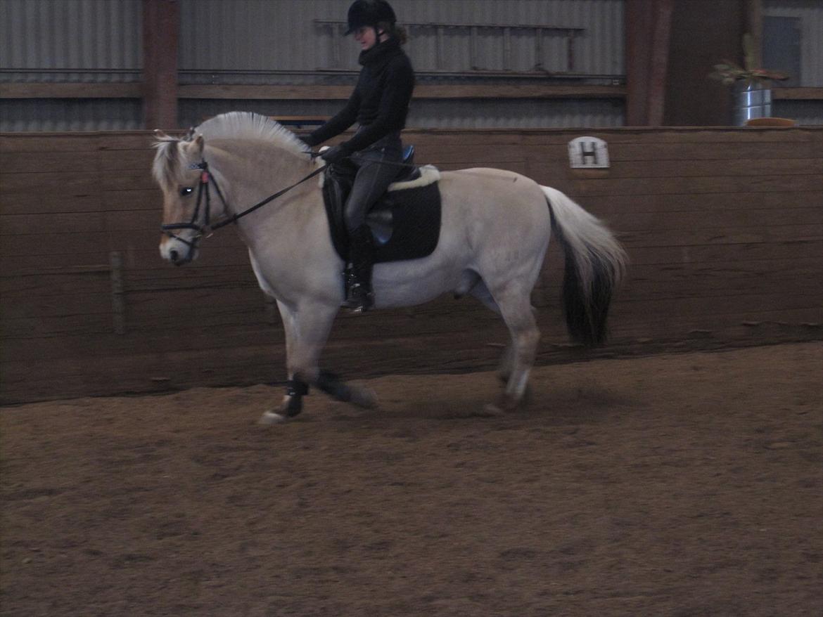 Arkibald og Noa Højland billede 38