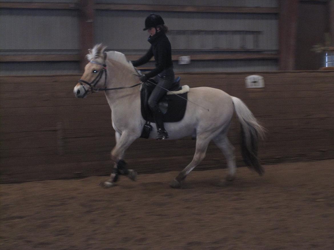 Arkibald og Noa Højland billede 40