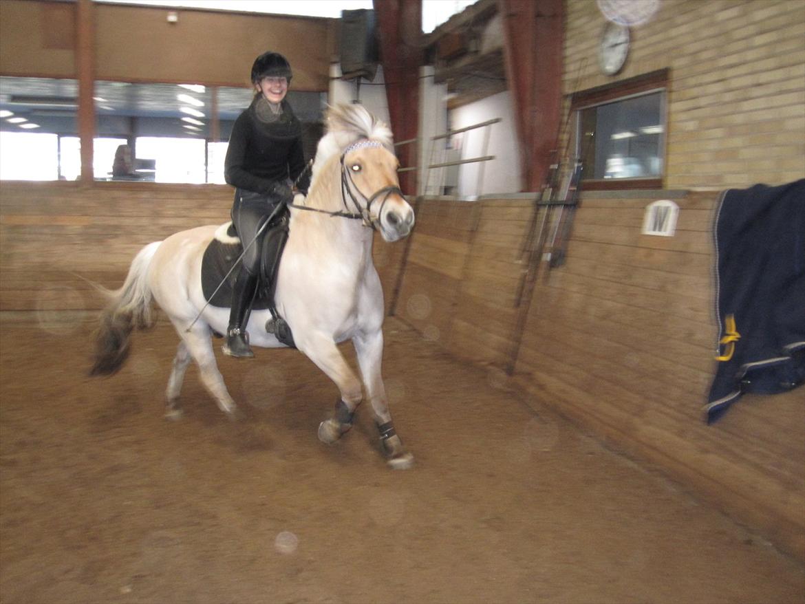 Arkibald og Noa Højland - Der var vi ved at ride Emma ned hahaha <3 billede 47