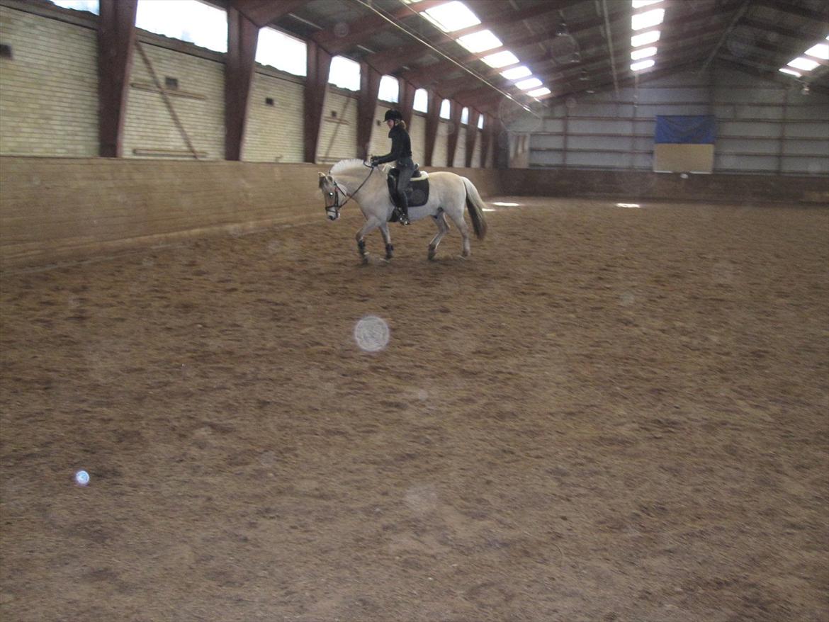 Arkibald og Noa Højland billede 48