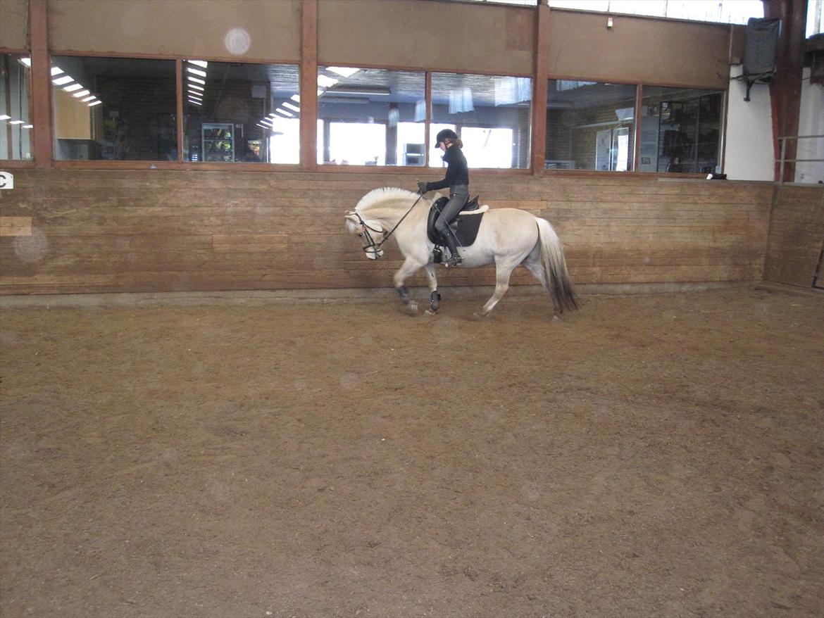 Arkibald og Noa Højland billede 50