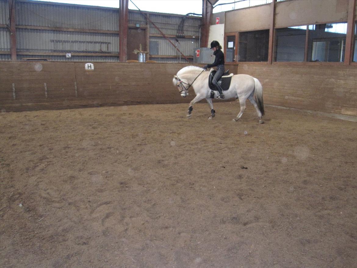 Arkibald og Noa Højland billede 51