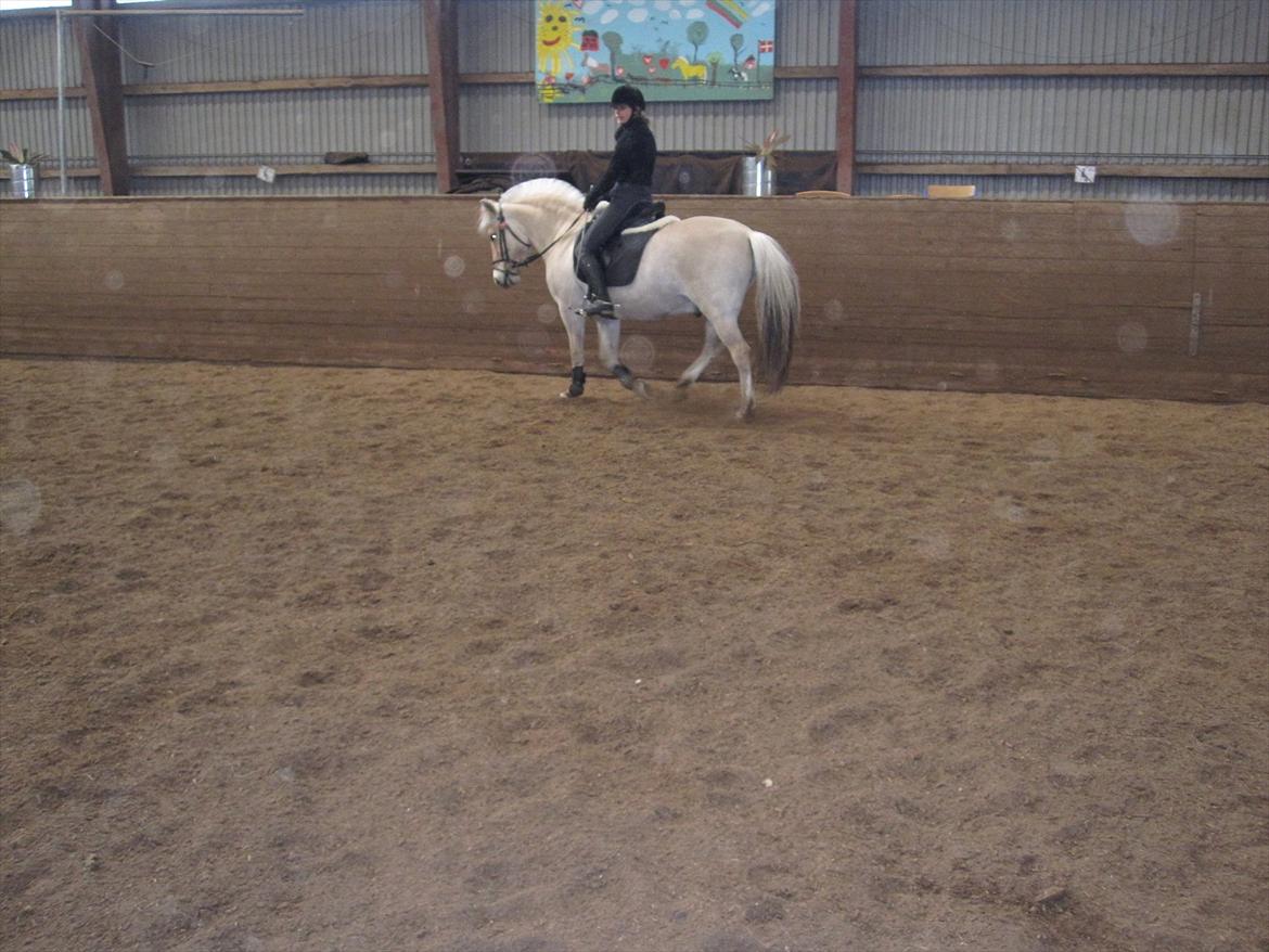 Arkibald og Noa Højland billede 52