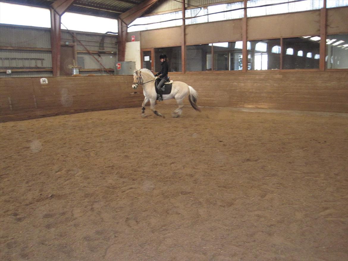 Arkibald og Noa Højland billede 53