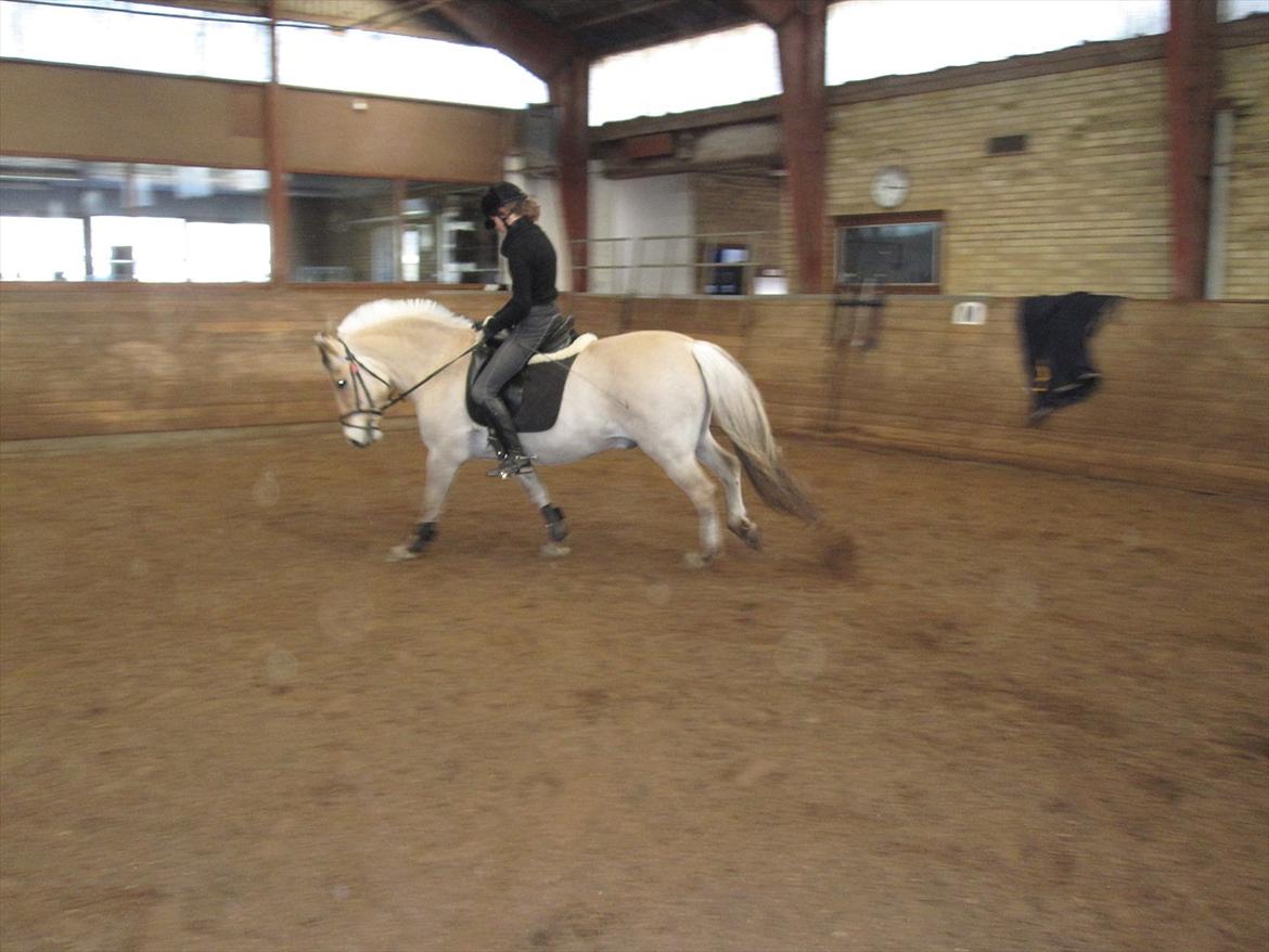 Arkibald og Noa Højland billede 54