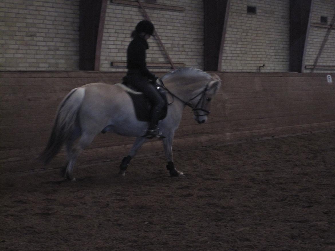 Arkibald og Noa Højland billede 55