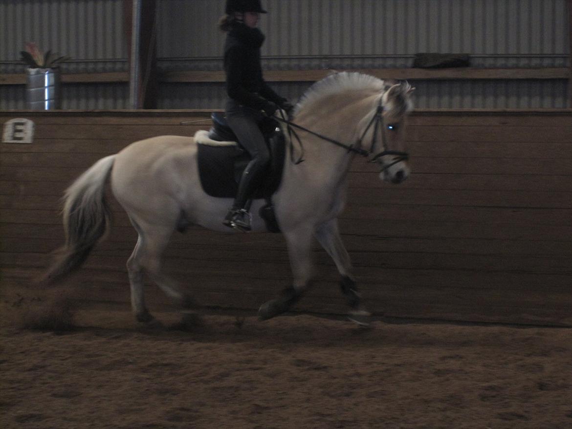 Arkibald og Noa Højland billede 56