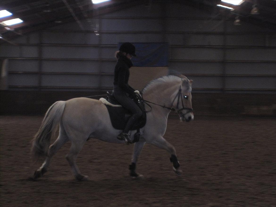 Arkibald og Noa Højland billede 57