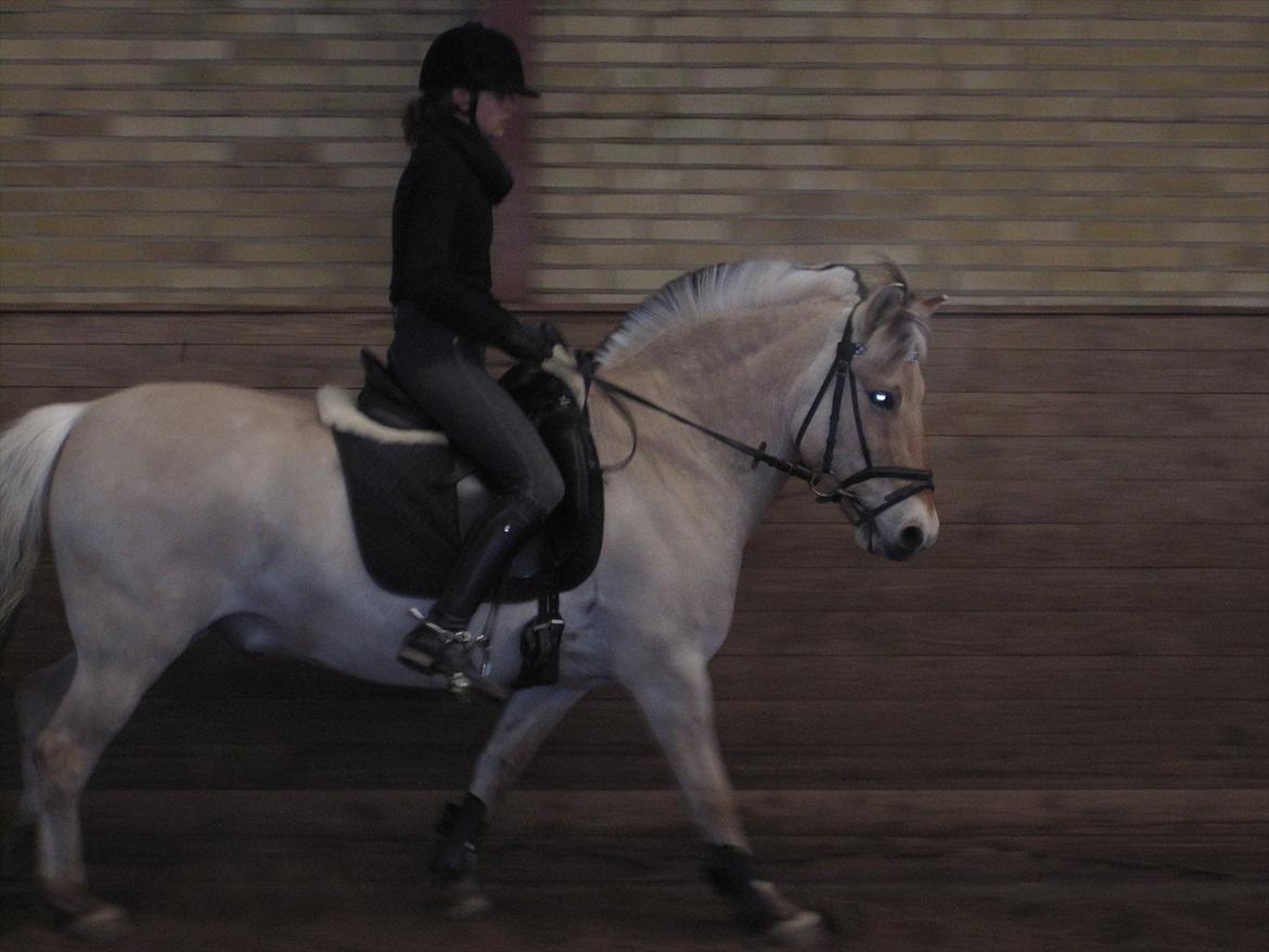 Arkibald og Noa Højland billede 58