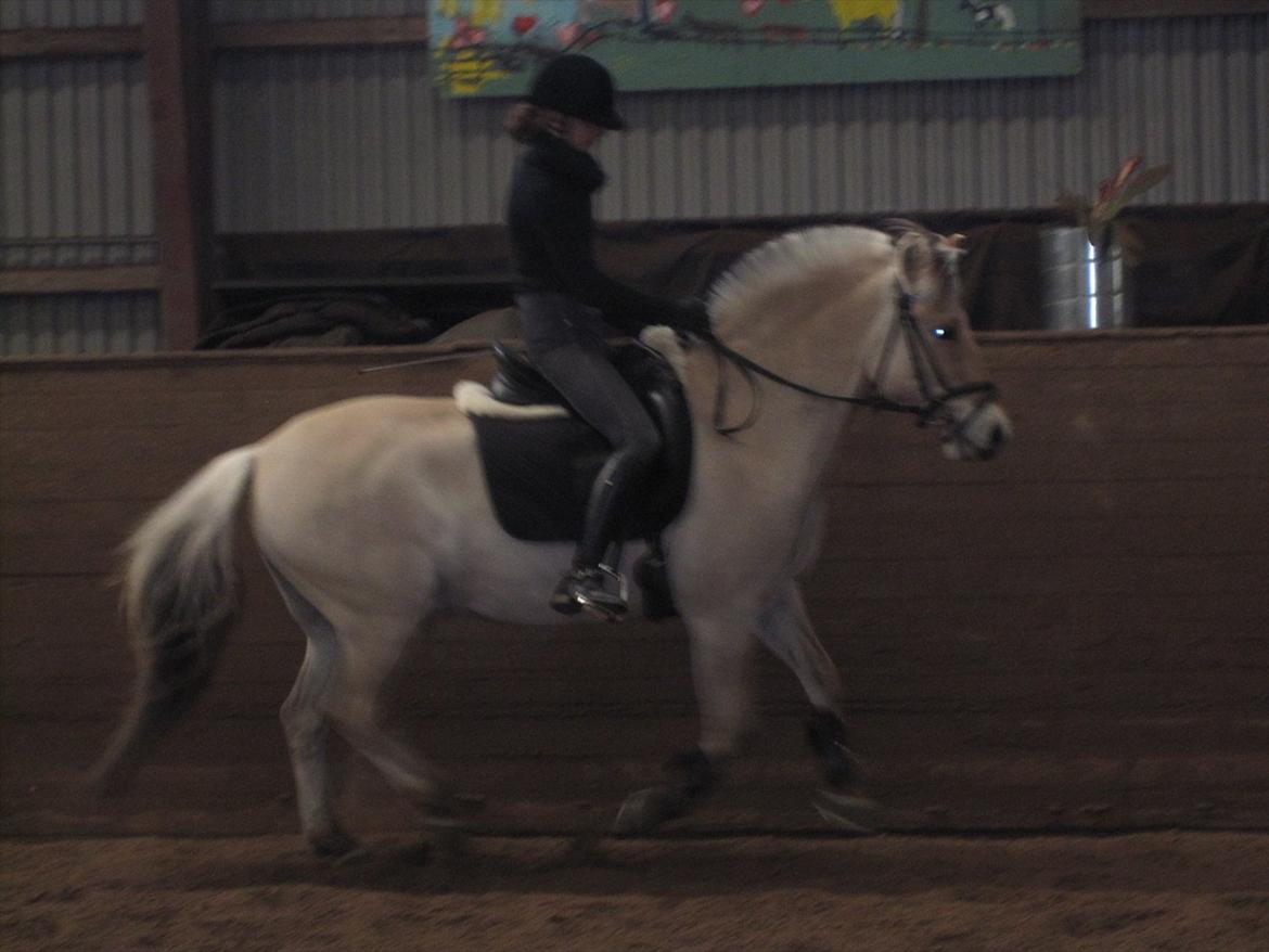 Arkibald og Noa Højland billede 59