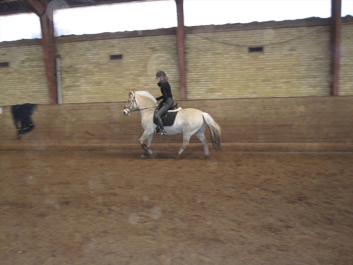 Arkibald og Noa Højland billede 61