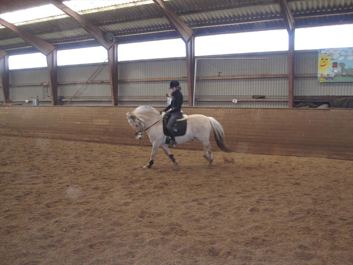 Arkibald og Noa Højland billede 62