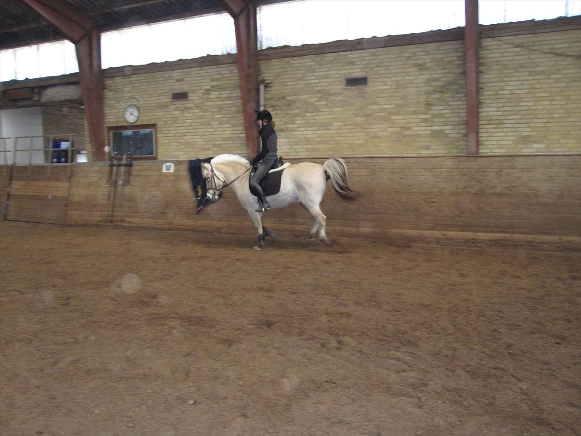 Arkibald og Noa Højland billede 63