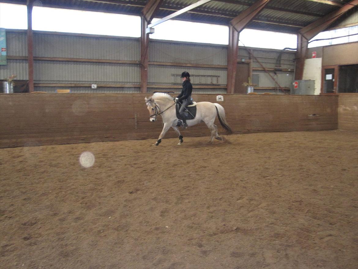 Arkibald og Noa Højland billede 64