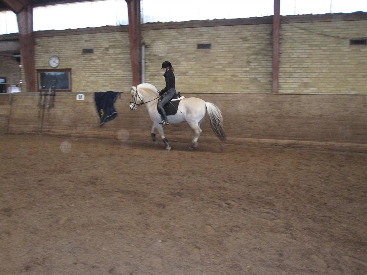 Arkibald og Noa Højland billede 65