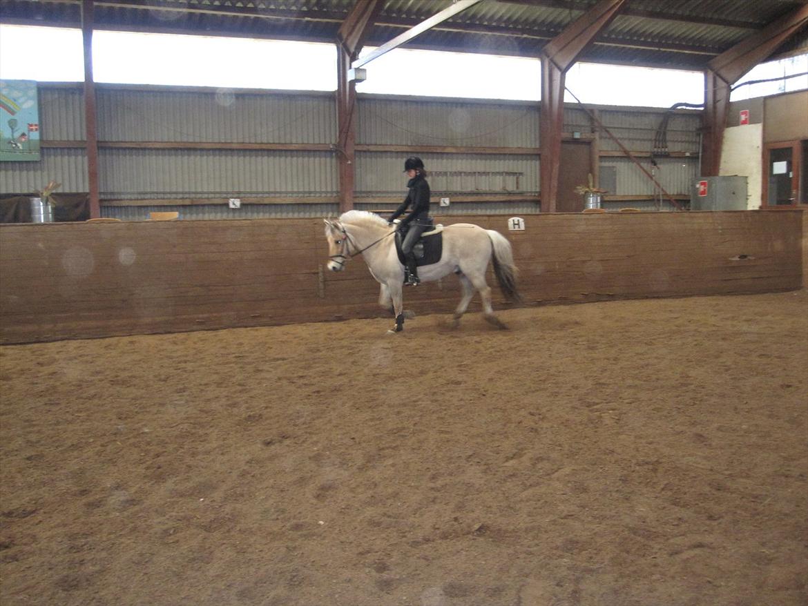 Arkibald og Noa Højland billede 66