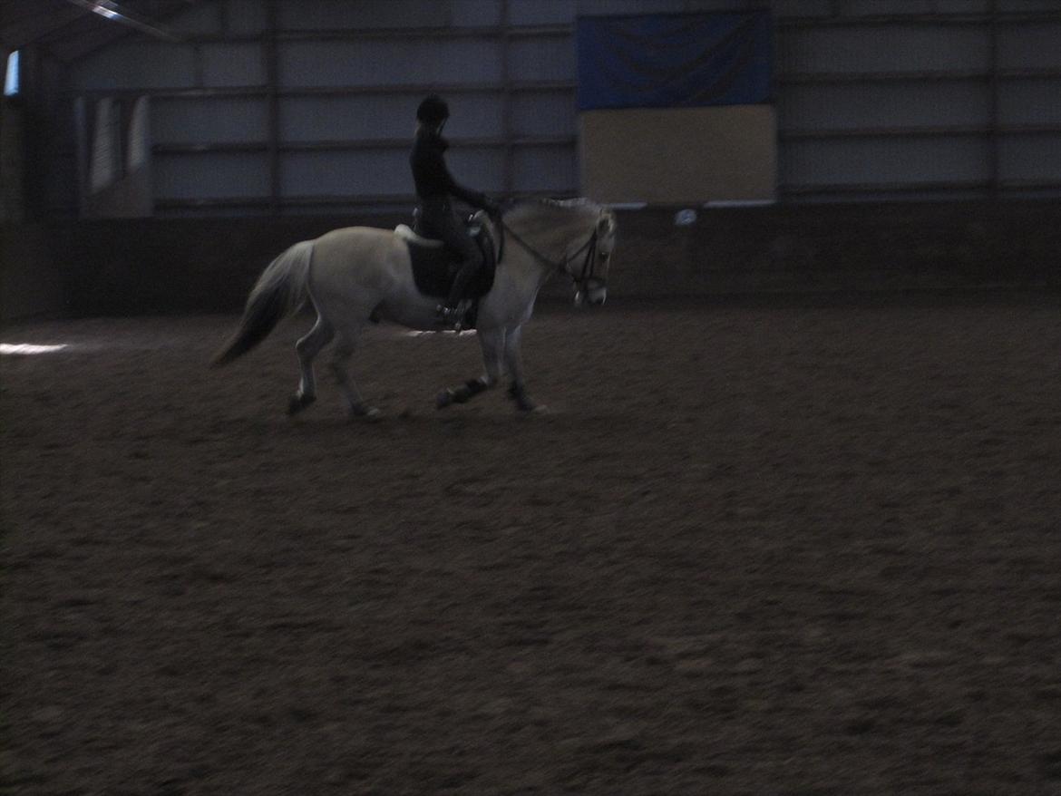 Arkibald og Noa Højland billede 67