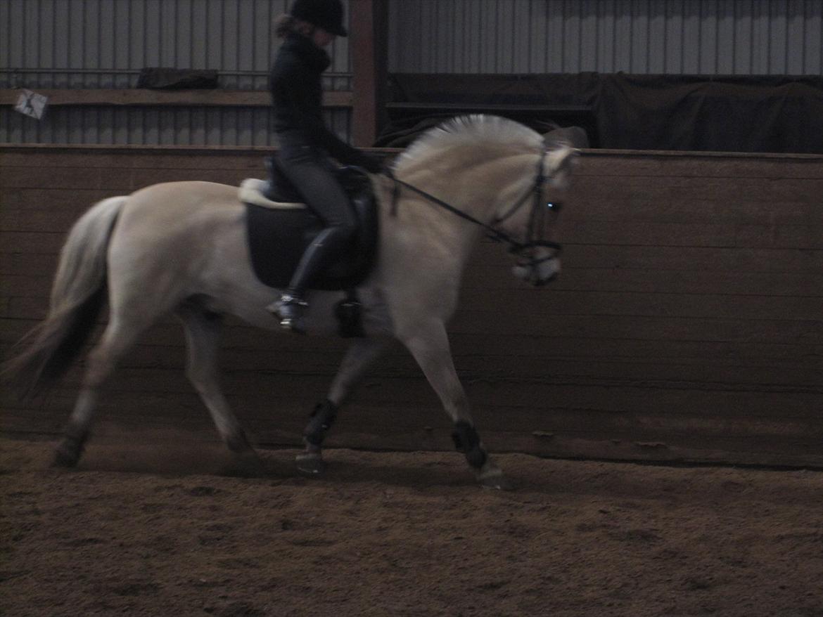 Arkibald og Noa Højland billede 68