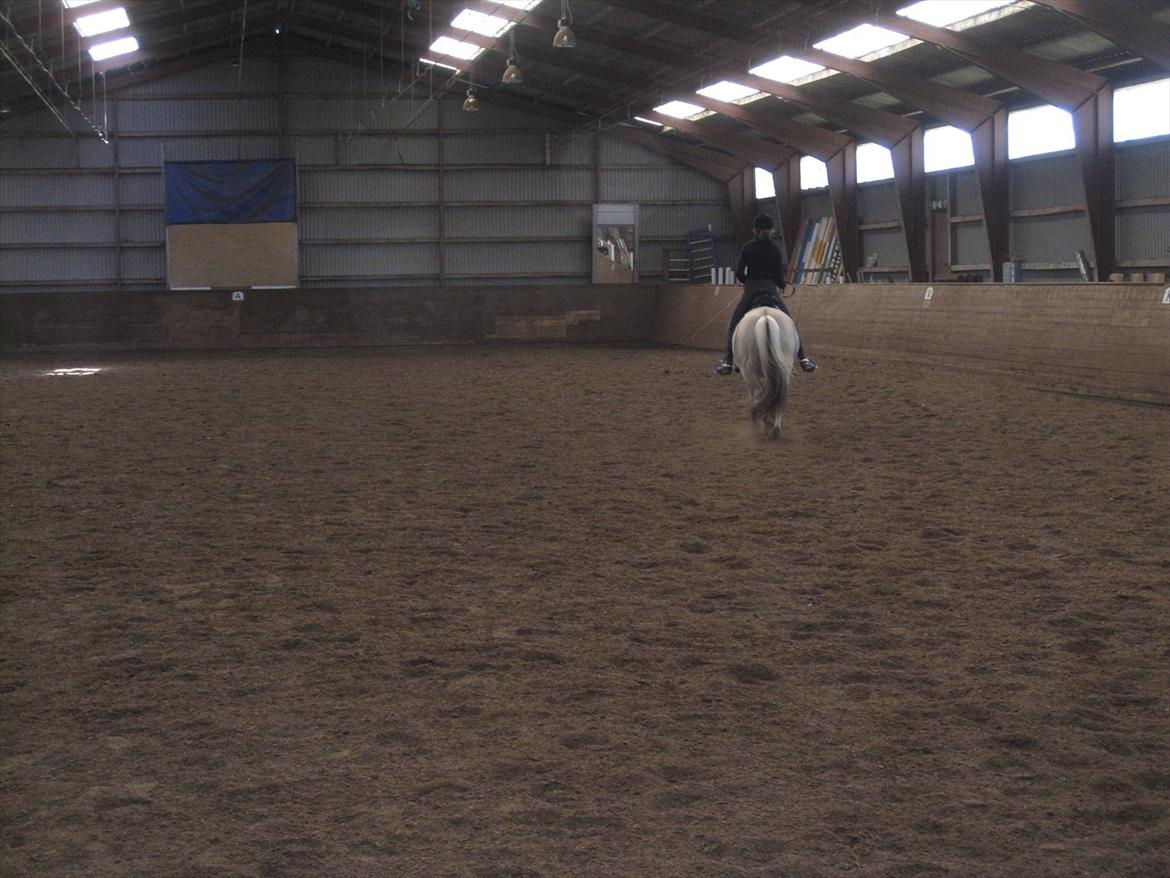 Arkibald og Noa Højland billede 69