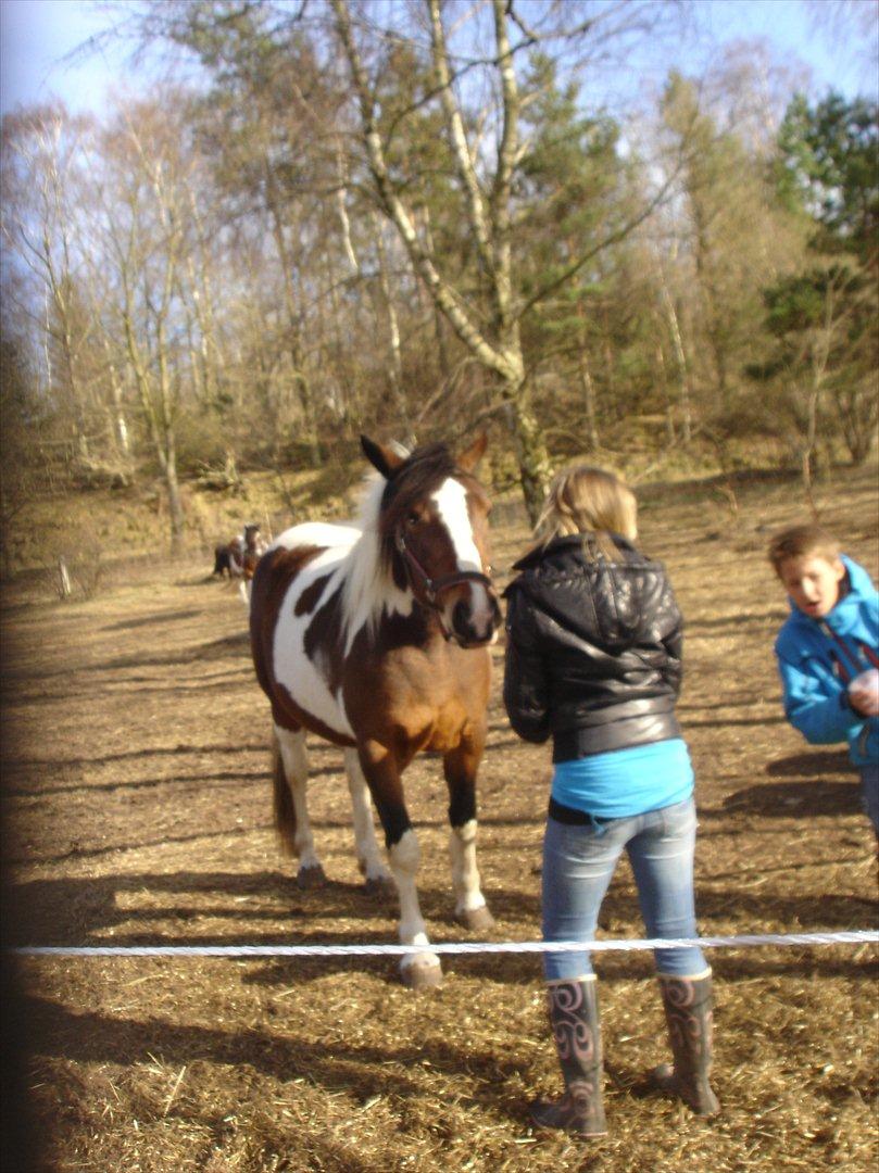 david v og ronja p, de to seje mennesker ;D billede 1