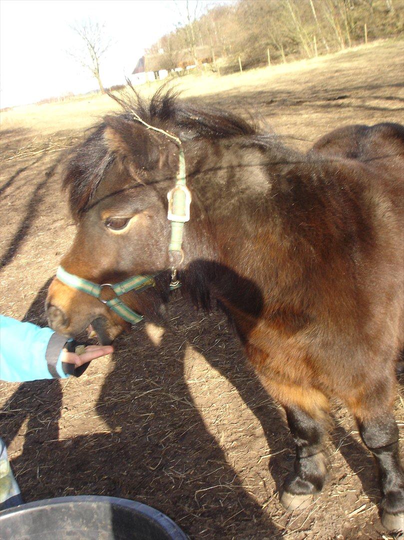 david v og ronja p, de to seje mennesker ;D billede 3