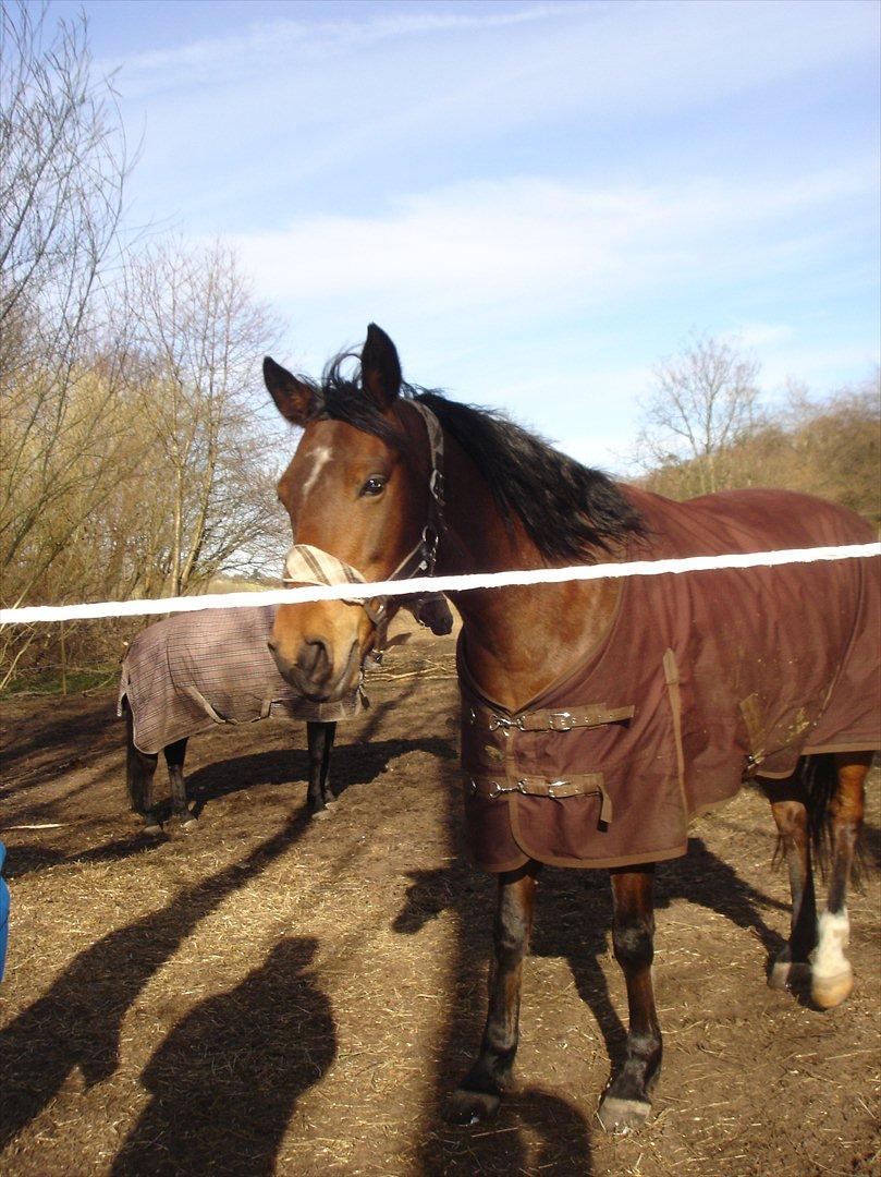 david v og ronja p, de to seje mennesker ;D billede 4