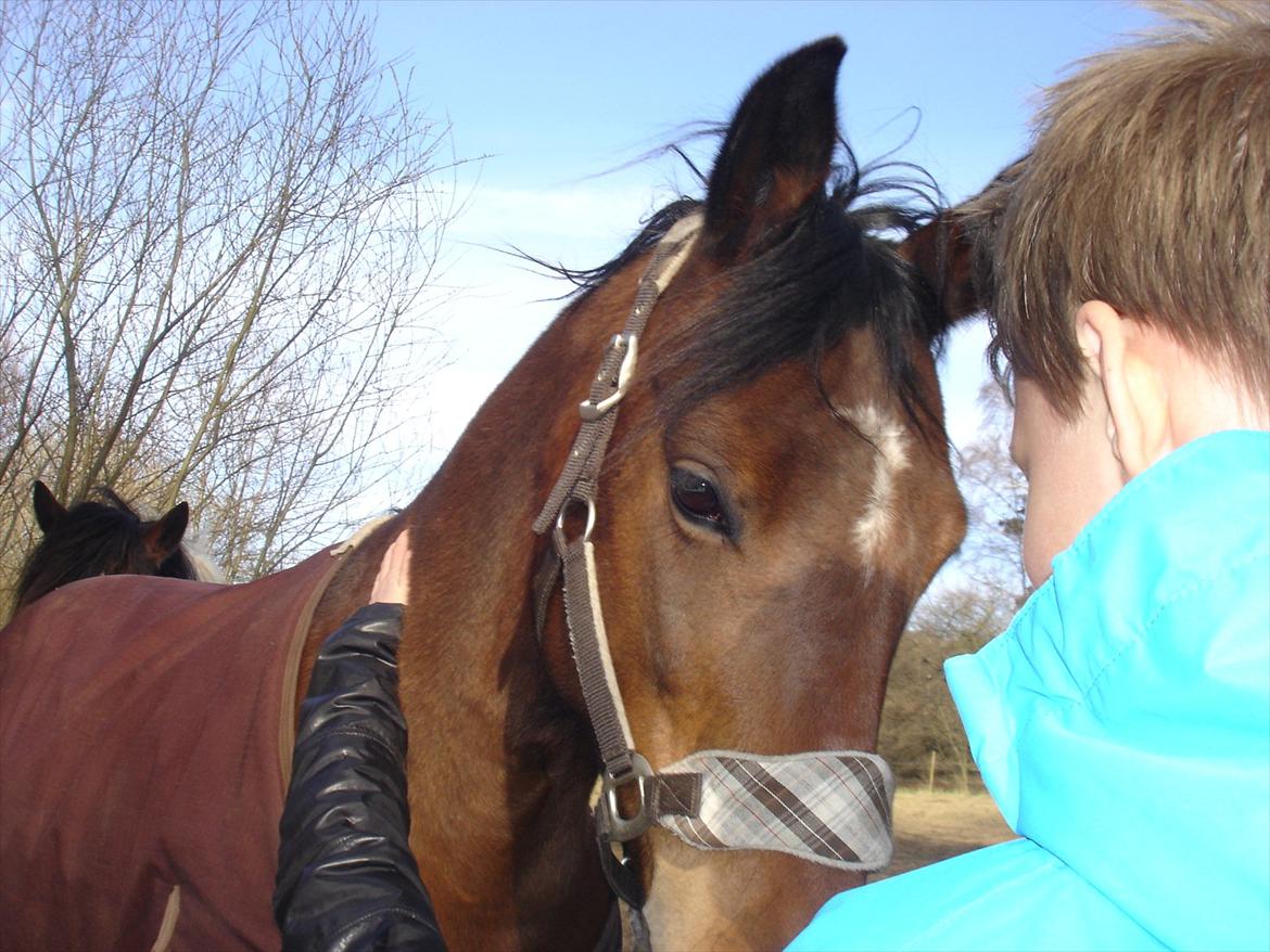 david v og ronja p, de to seje mennesker ;D billede 19