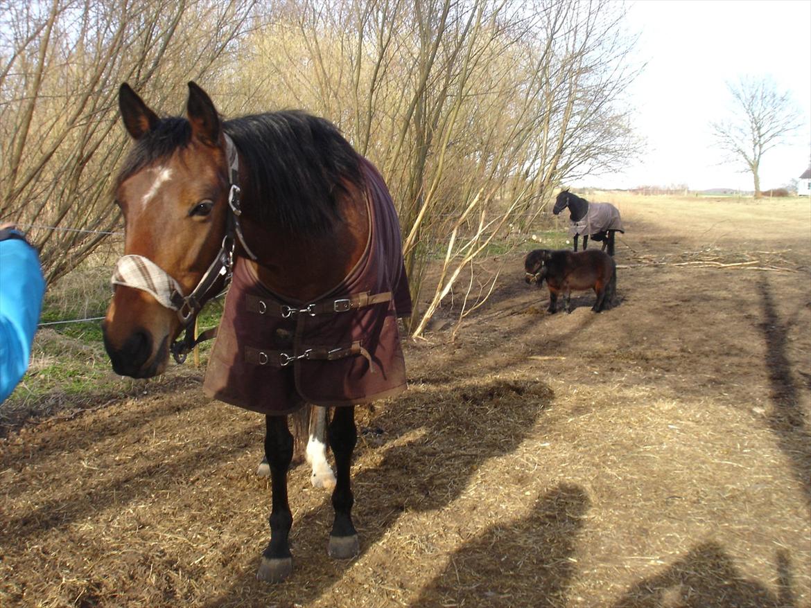 david v og ronja p, de to seje mennesker ;D billede 21