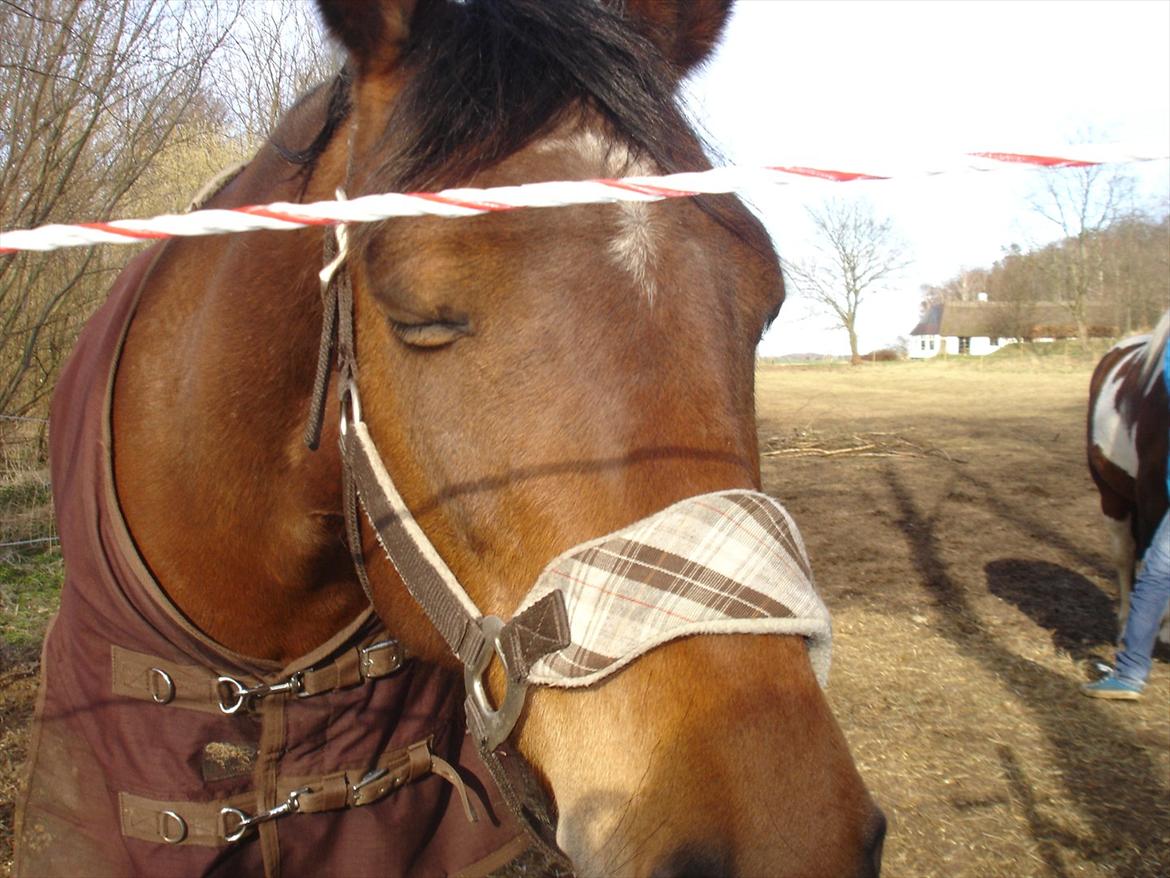 david v og ronja p, de to seje mennesker ;D billede 25