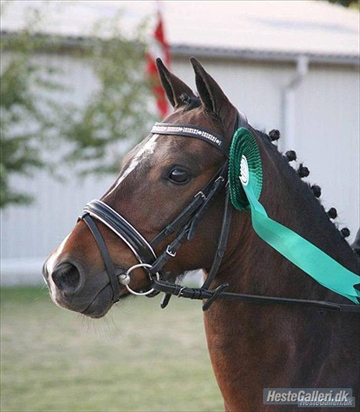 Babs og Patter i er virkelig alt - Thowra 2009 billede 3