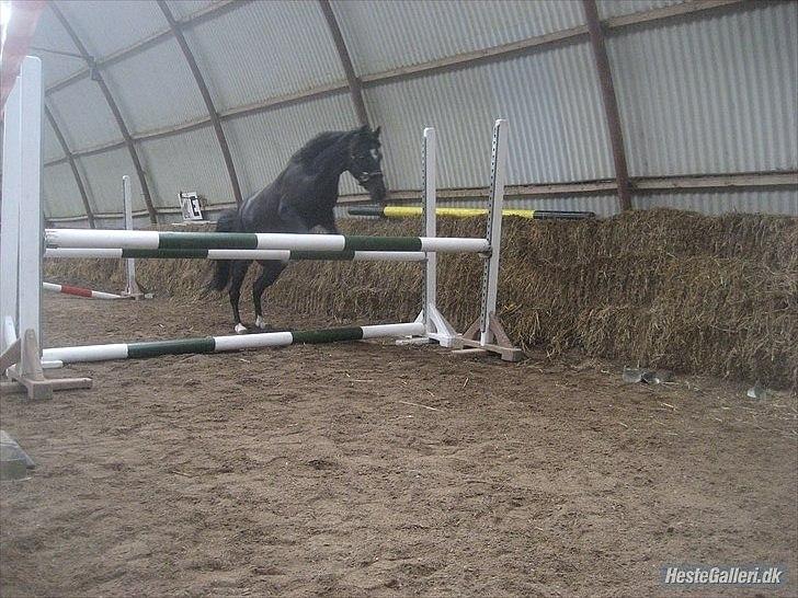 Babs og Patter i er virkelig alt - Prins 2011 billede 8