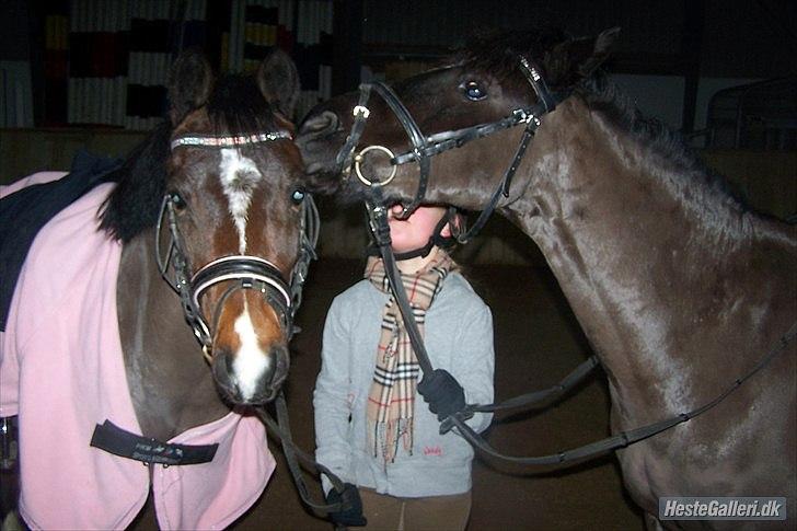 Babs og Patter i er virkelig alt - vabs og prins 2011 billede 10