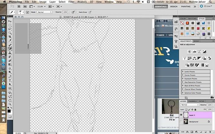 Et forsøg på en computer tegning billede 3