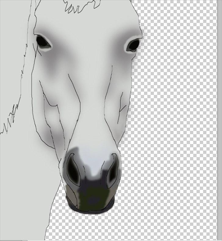 Et forsøg på en computer tegning billede 8