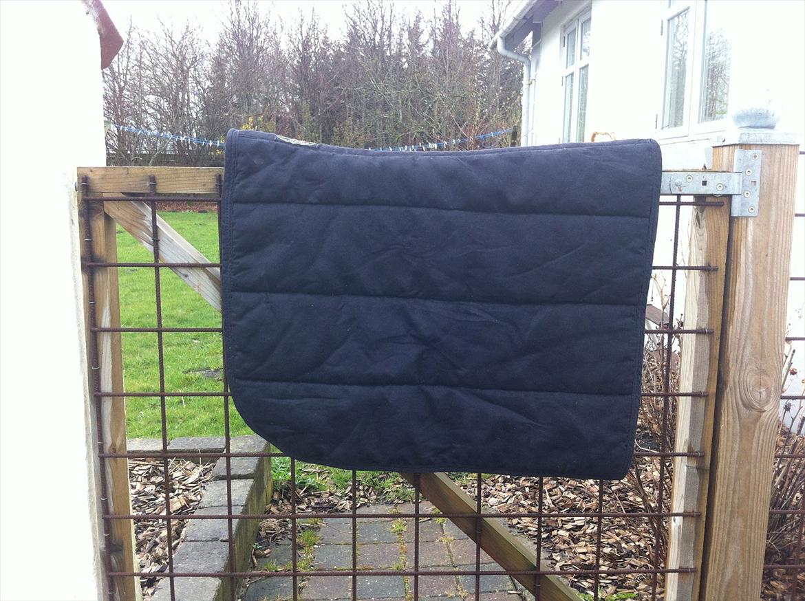 Mit udstyr til hestene. - Sort Horse Guard alca pad. billede 20