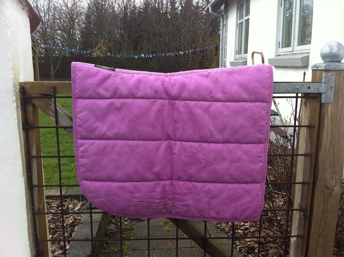 Mit udstyr til hestene. - Lilla Horse Guard alca pad. billede 12