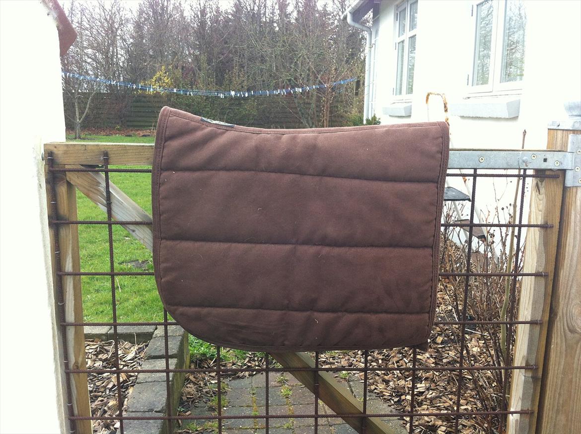 Mit udstyr til hestene. - Brunt Horse Guard alca pad. billede 13