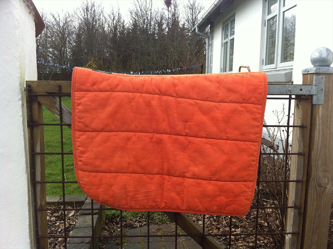 Mit udstyr til hestene. - Orange Horse Guard alca pad. billede 14